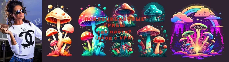 Псилоцибиновые грибы MAGIC MUSHROOMS  Киреевск 